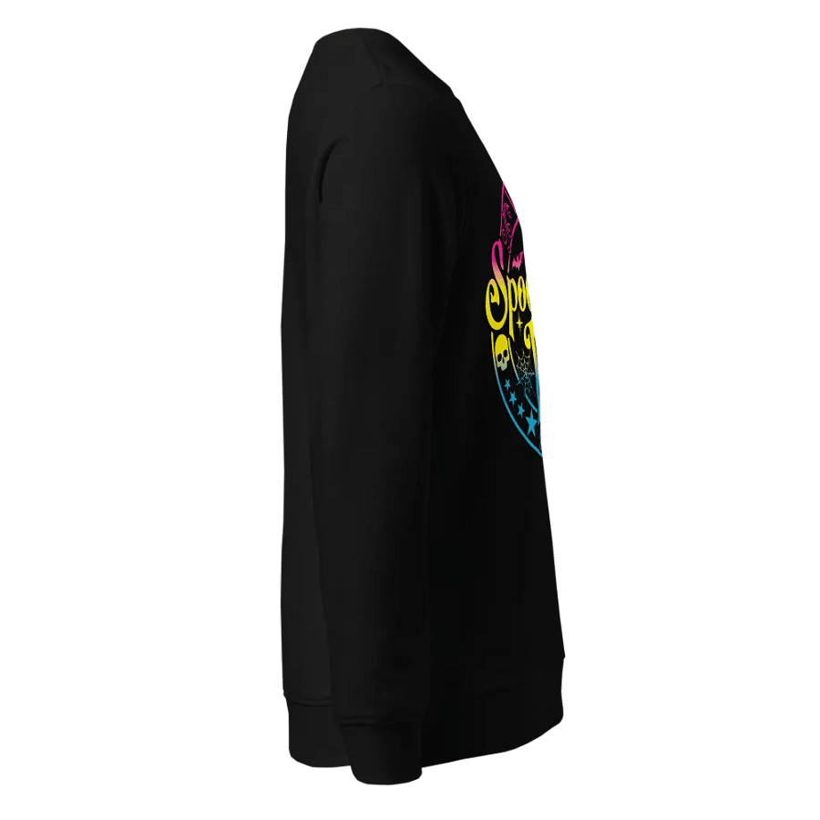 Spooky Bitch Era Pan Flag Organic Sweatshirt product image (3)