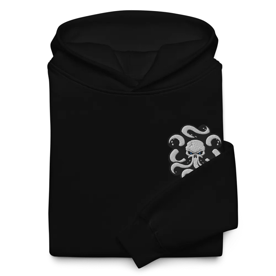 Embroidered Hoodie product image (11)