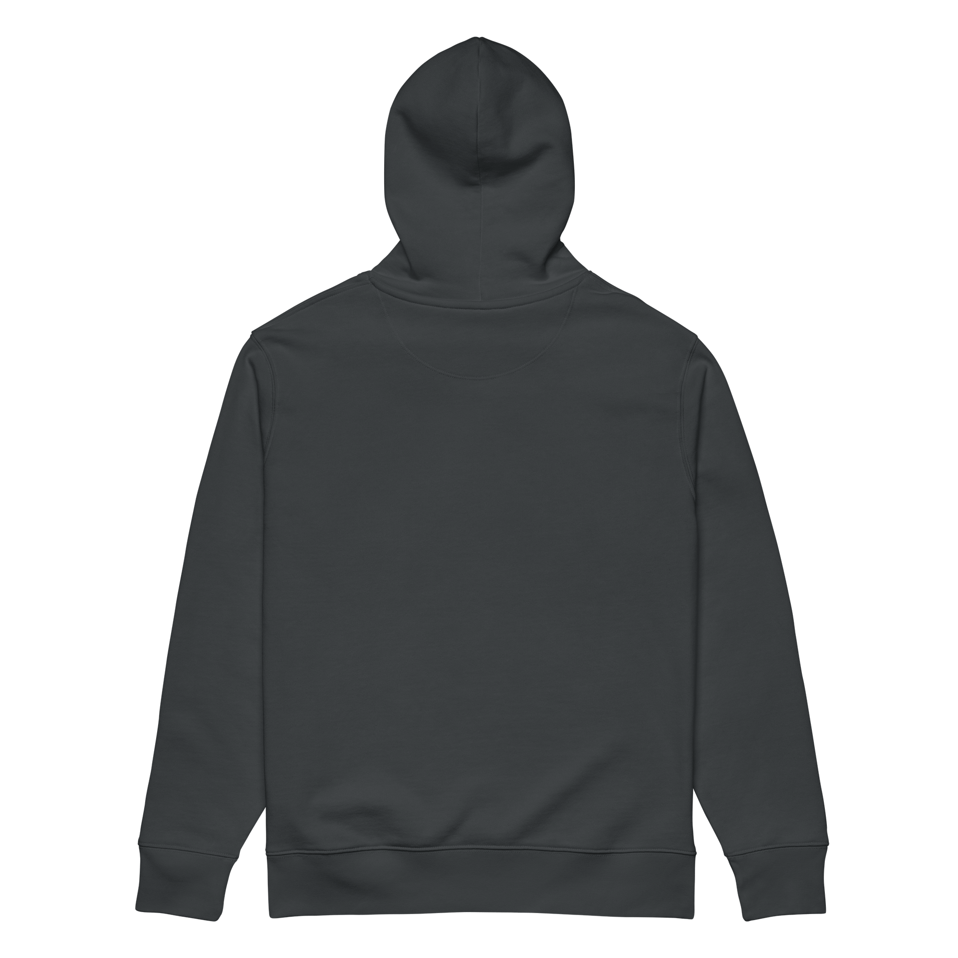 Spartan Legacy Organic Hoodie product image (6)
