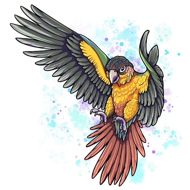 Kiri