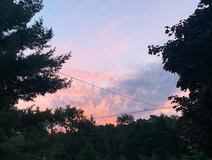 First Cribo 2018 NFT product image (1)