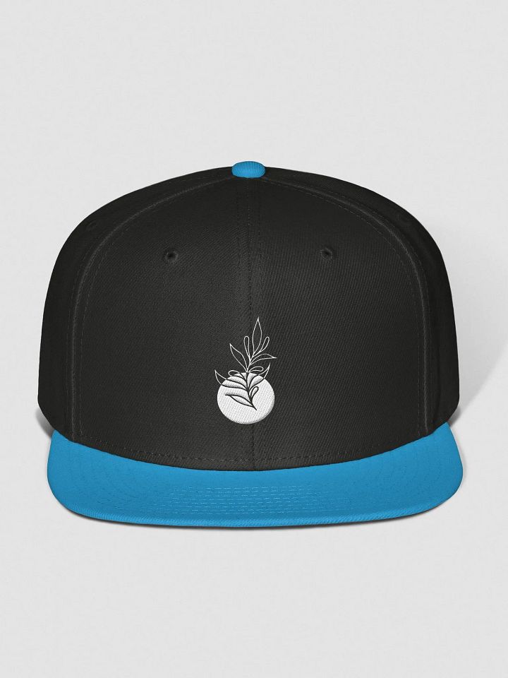 Common Ground - Snapback Cap product image (1)