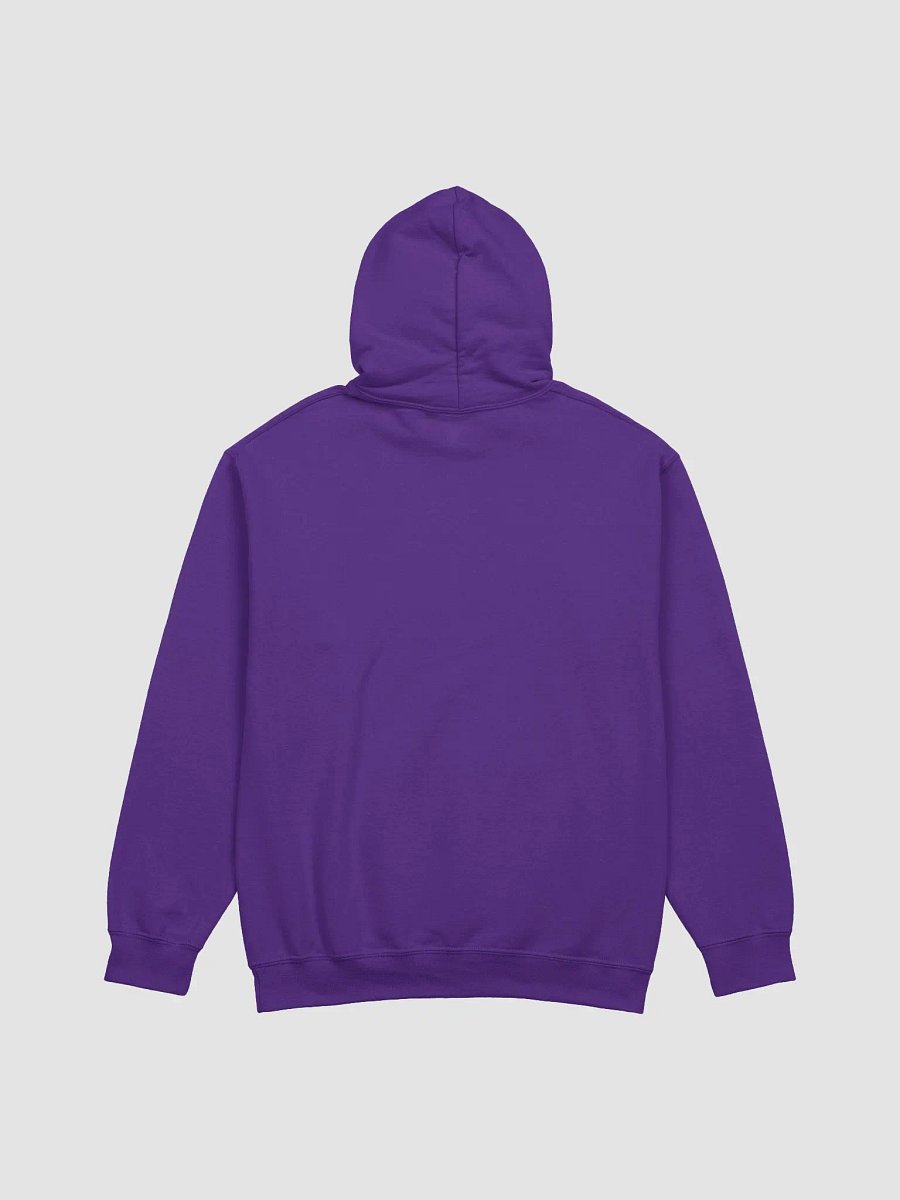 TRUST IN HIS MERCY HOODIE product image (31)
