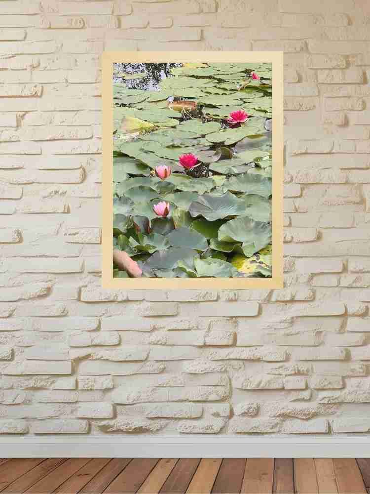 Pink Water Lilies in a Pond product image (3)