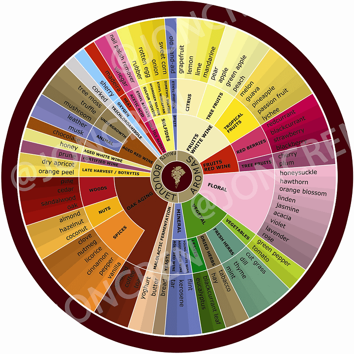 Wine Aroma Wheel Image product image (1)