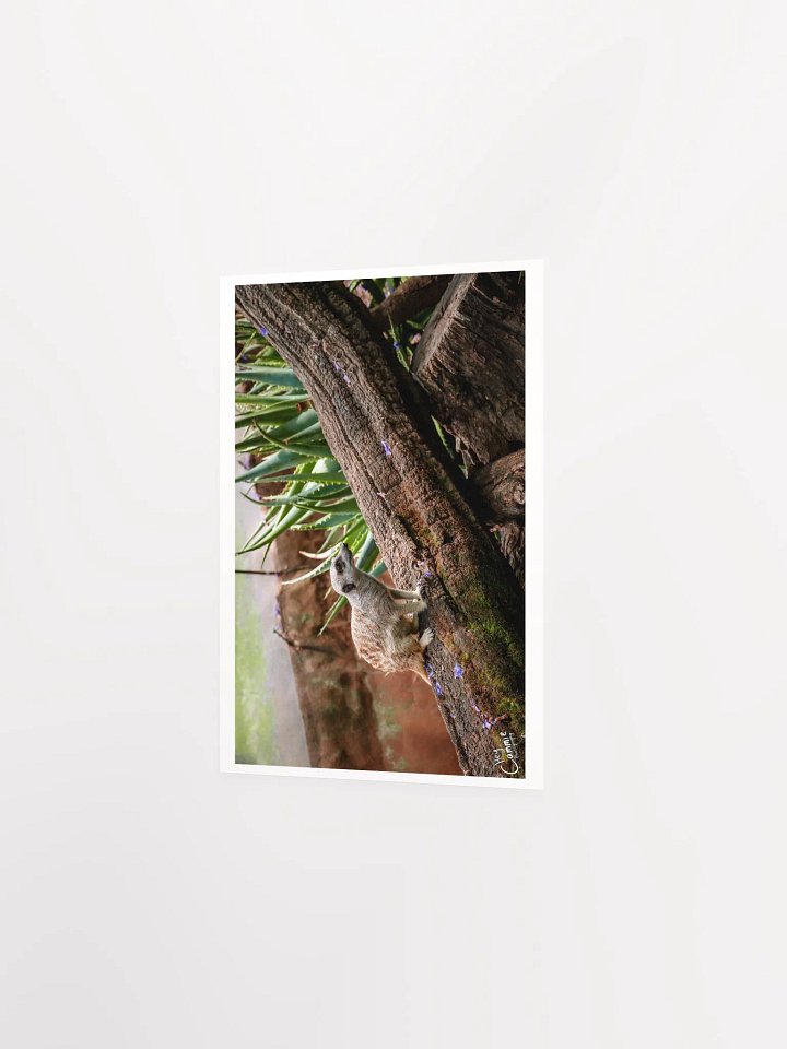 Meerkat Watch - Print product image (2)