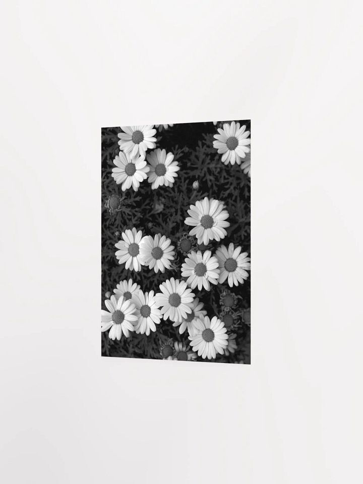 Margaritas - Enhanced Matte Paper Poster product image (2)