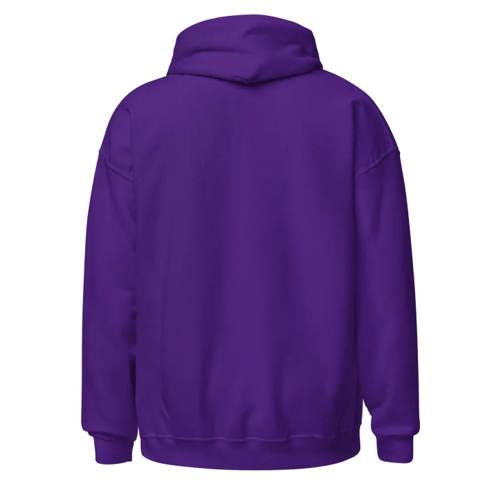 Oulaw of The Galaxy Hoodie product image (38)