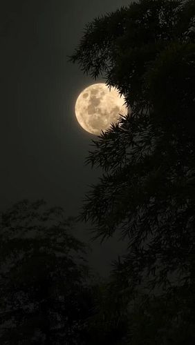 Full moon night #reels #viral #trending #night
#videography
