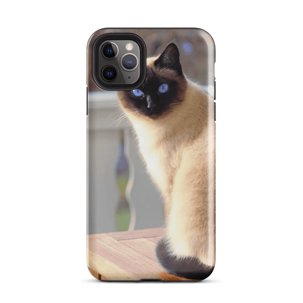Cat on Front Porch Phone Case for Feline Enthusiasts product image (34)