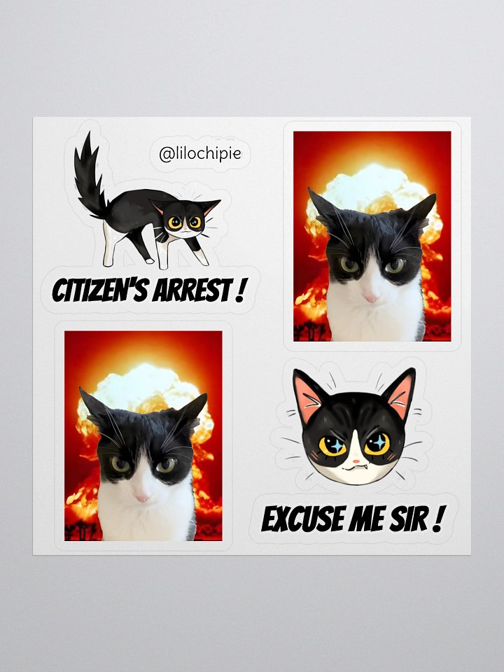 Lilo's Stickers product image (1)