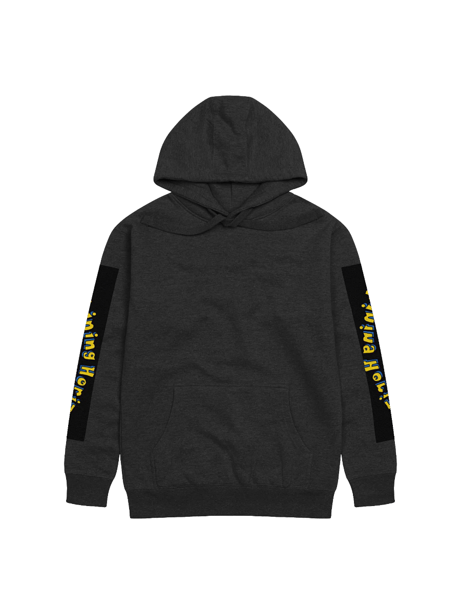 Shining Hoodie product image (4)