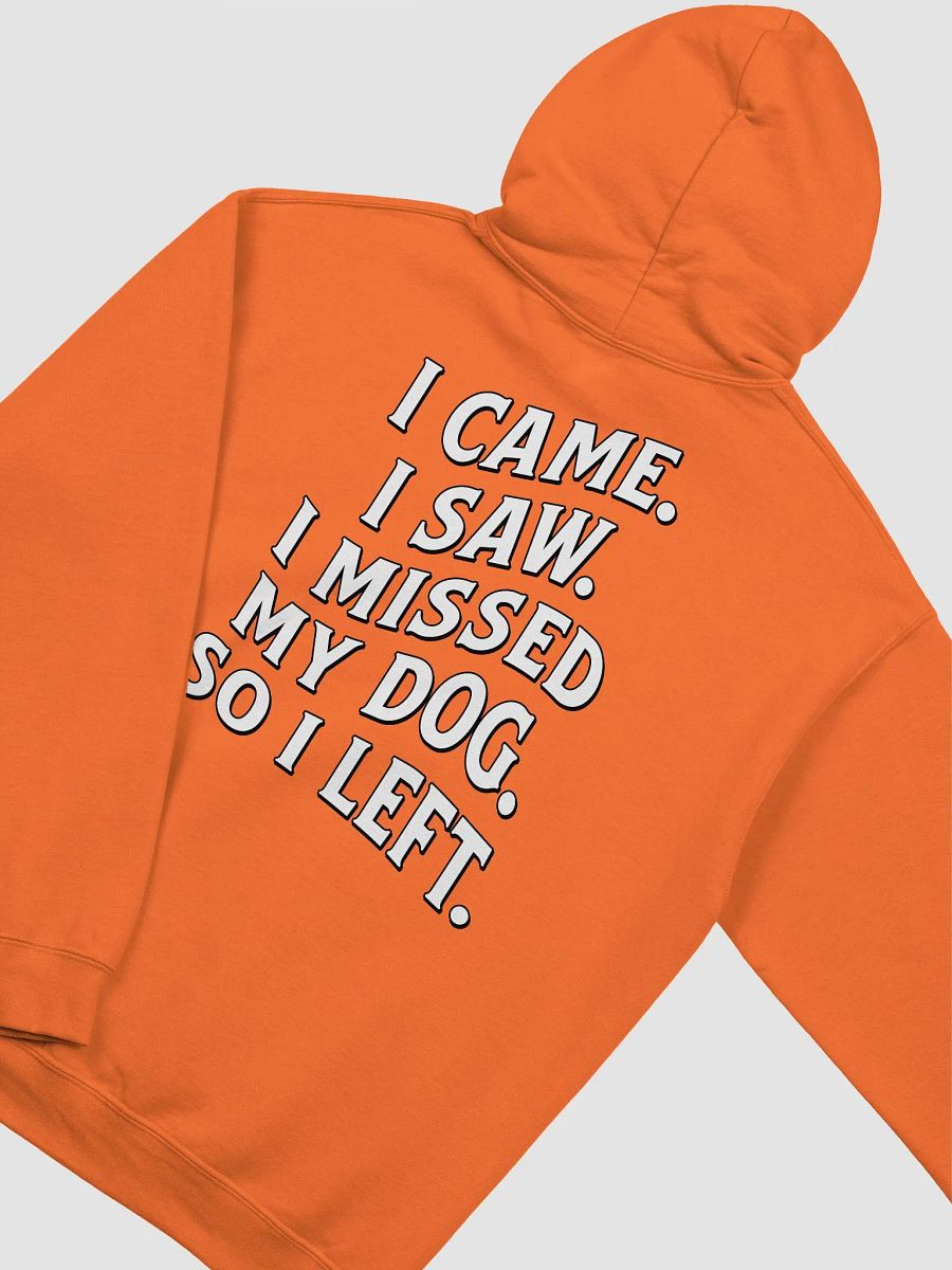 I Came, I Saw, I Missed My Dog, So I Left | Funny Introverted Hooded Sweatshirt for Dog Moms product image (30)