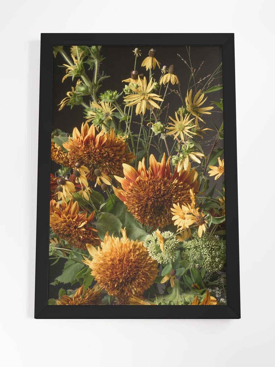 Comets Falling product image (11)