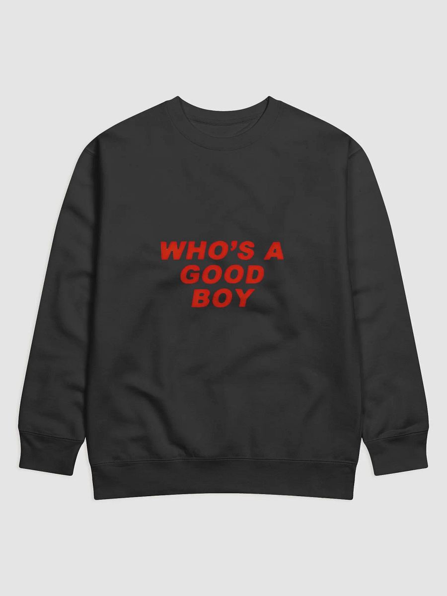 Americana Vibe Premium Sweatshirt product image (1)