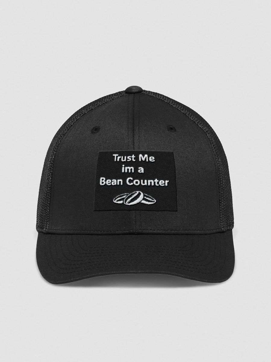 Beancounter Cap product image (1)