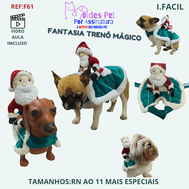 Fantasia Trenó Mágico - Modelagem Pet PDF product image (1)