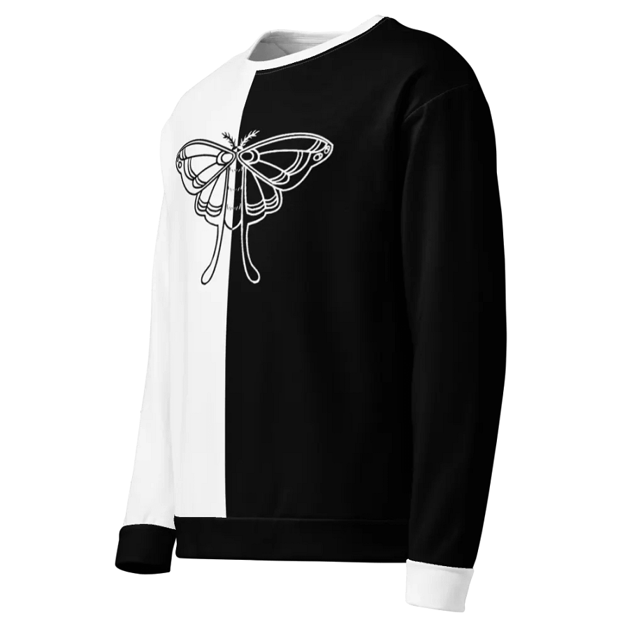 b&w moth product image (4)