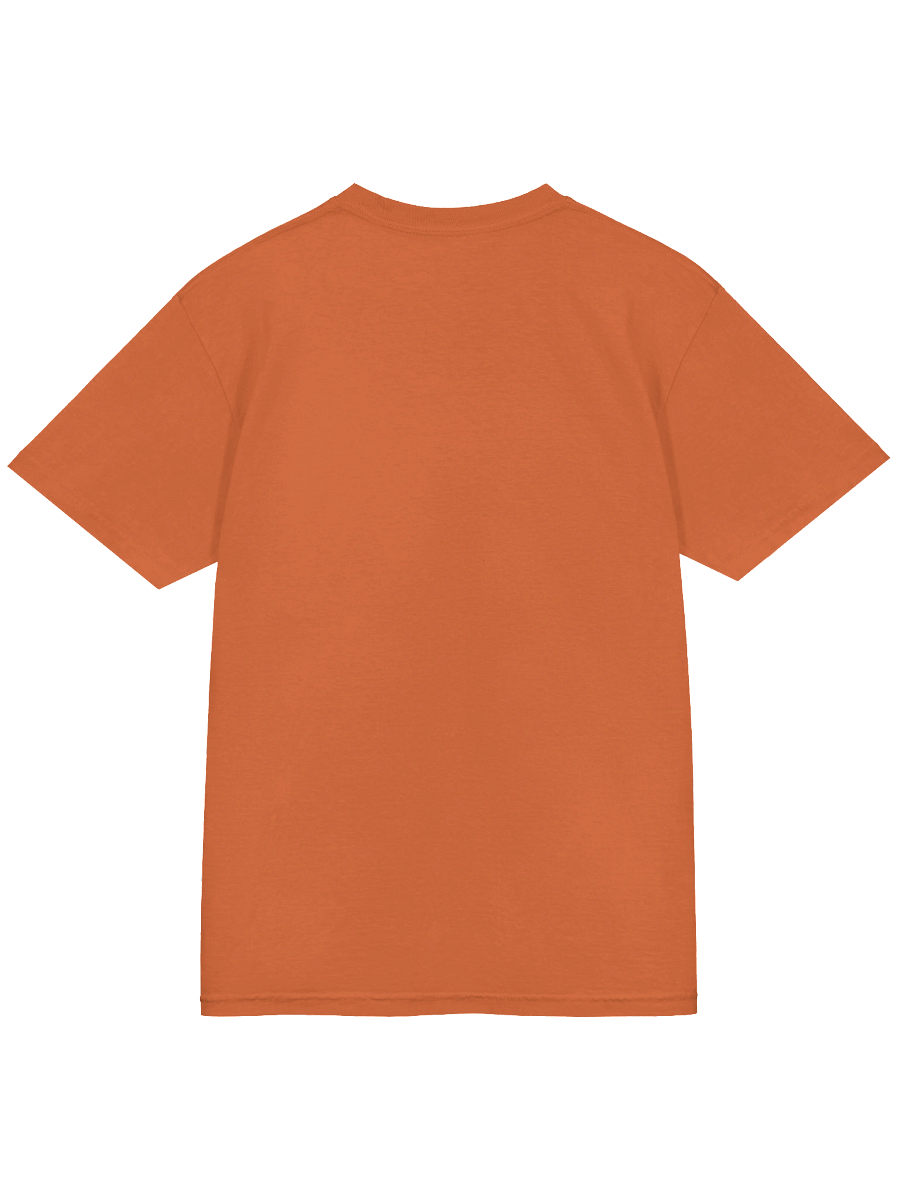 Cowtown logo shirt product image (4)