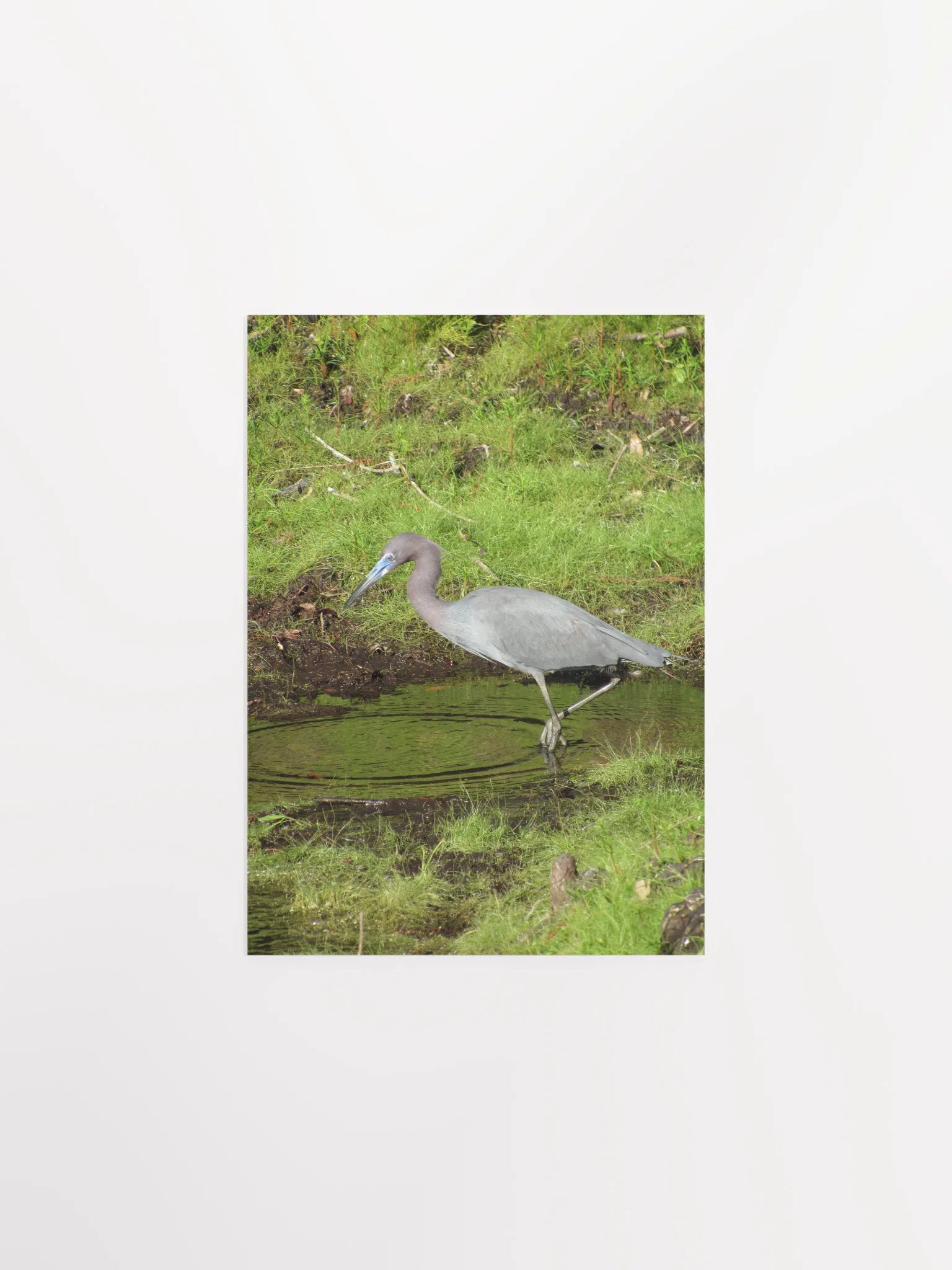 Heron 2 product image (7)
