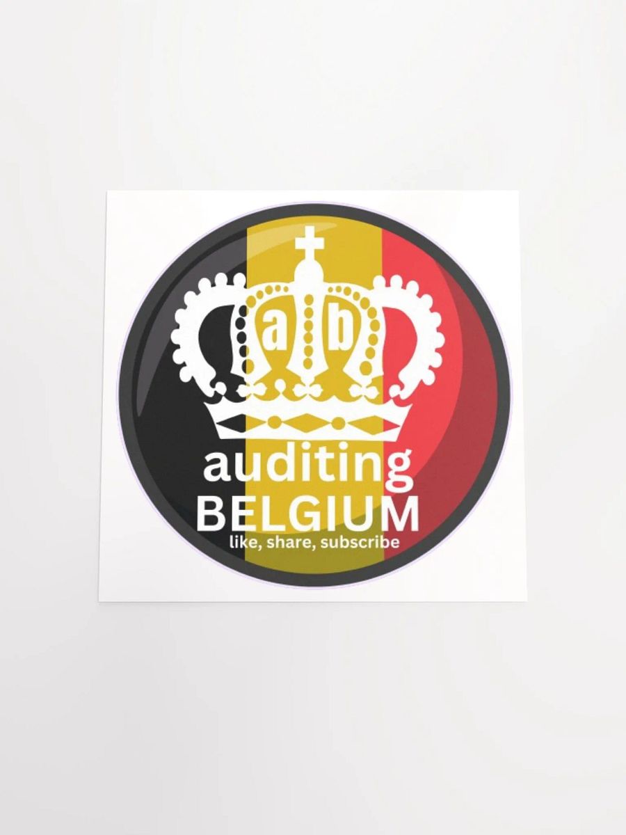 AUDITING BELGIUM product image (4)