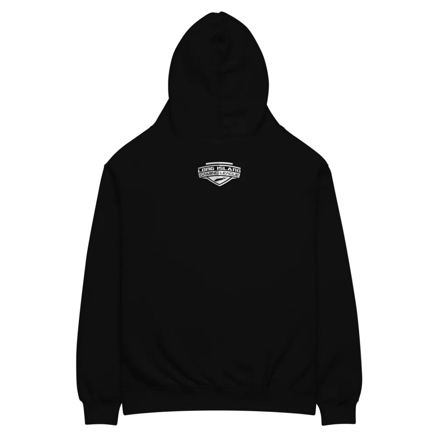 Team LI Hoodie product image (4)