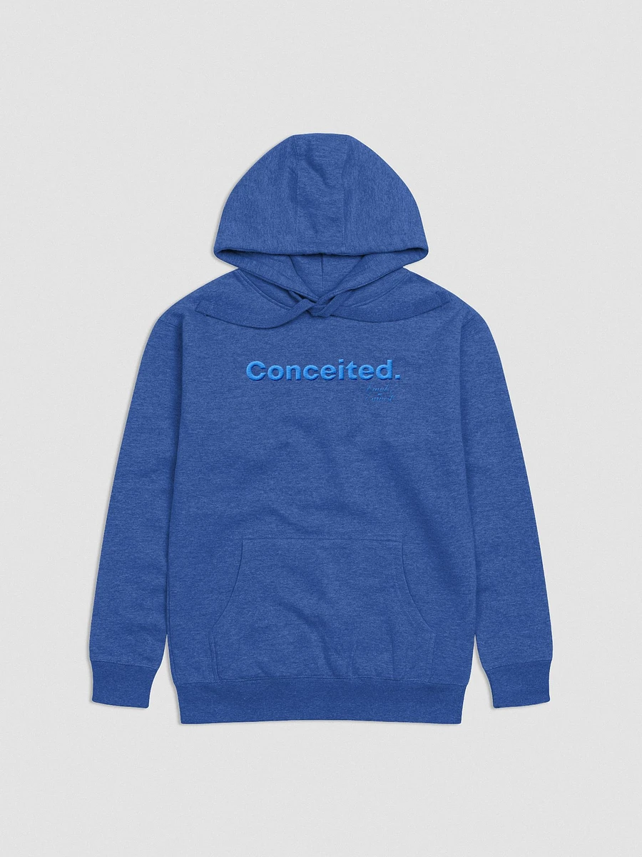 Concieted Embroidered Hoodie F&E1 product image (2)