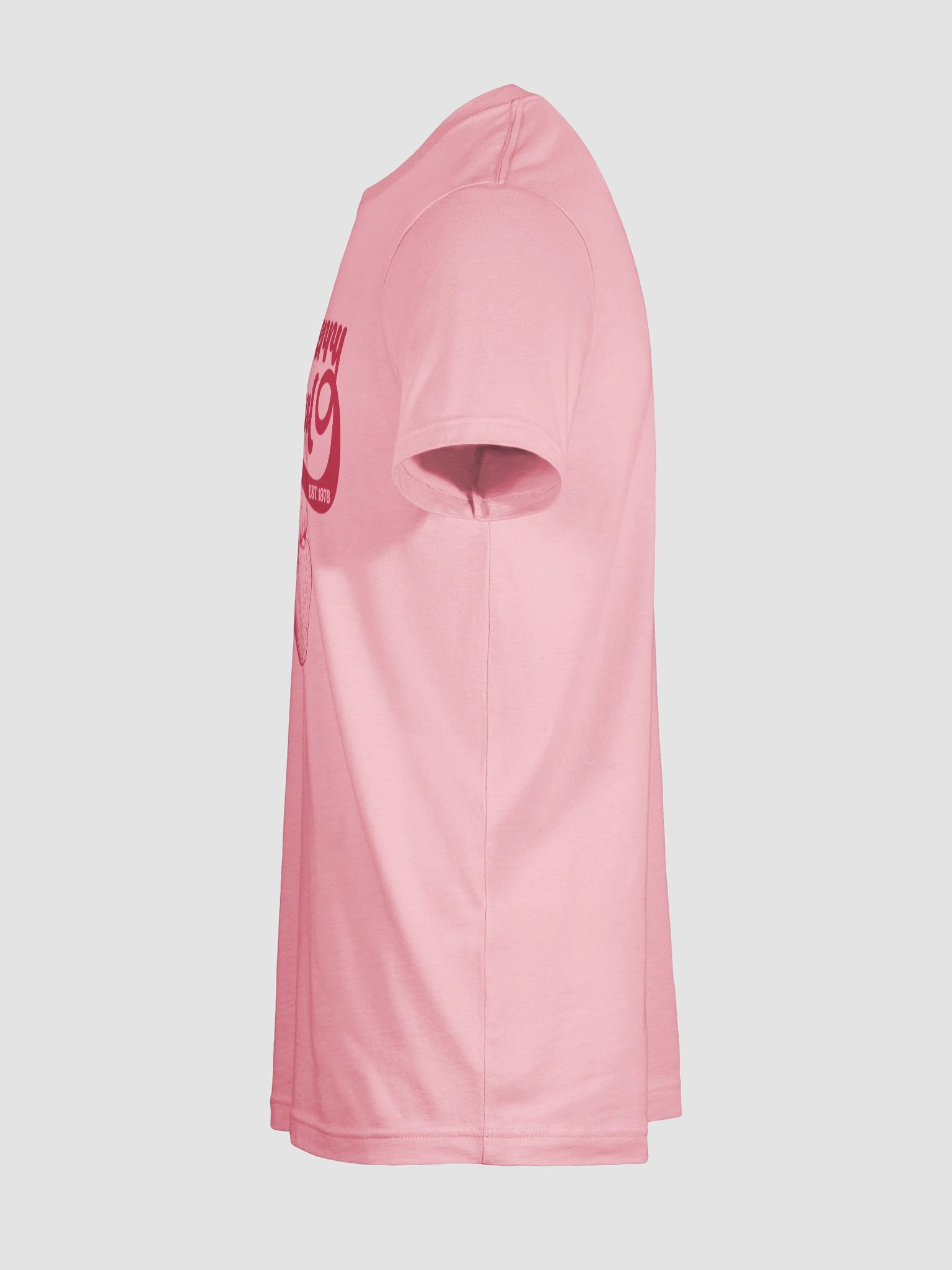 Strawberry Festival T-Shirt product image (11)