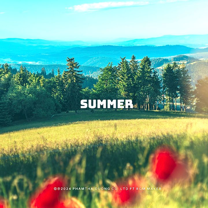 SUMMER product image (1)