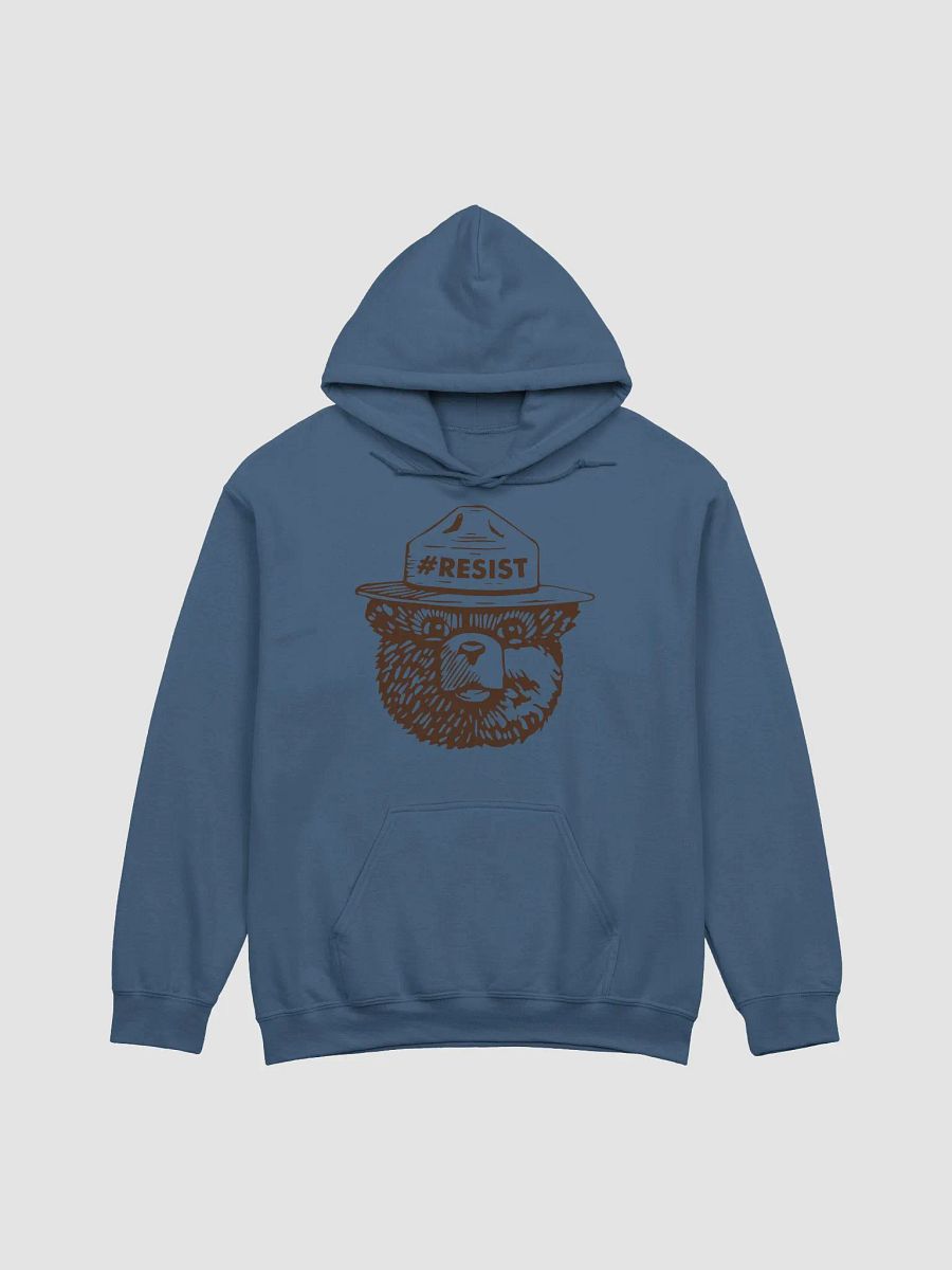 Smokey RESIST BEAR Classic Pullover Hoodie Alt National Parks Wear Resistance Rangers product image (1)
