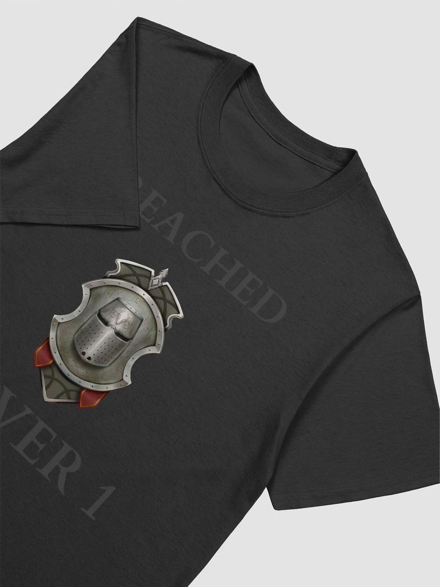 I REACHED SILVER 1 t-shirt product image (14)
