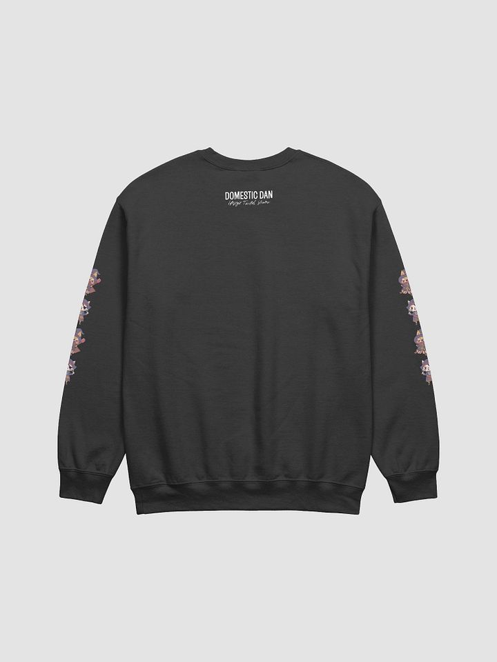 Pirate Sweater product image (2)