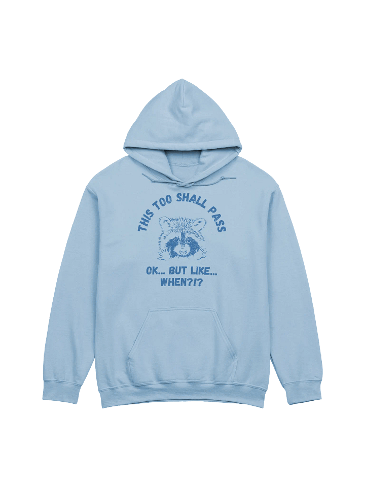 This Too Shall Pass Hoodie product image (1)