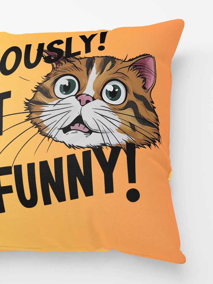 Seriously! Not Funny!