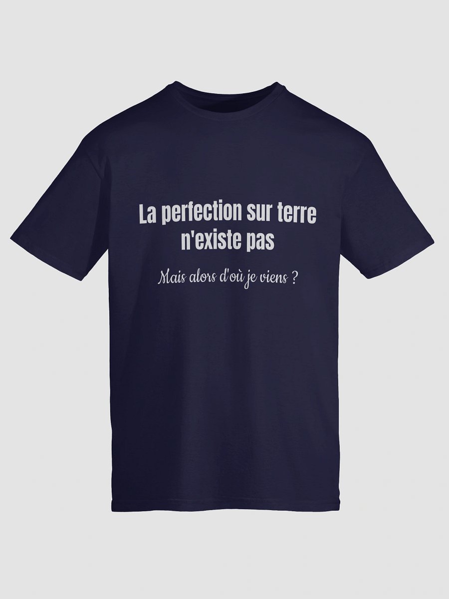 La perfection sur Terre n'existe pas product image (133)
