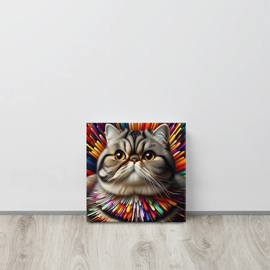 Canvas (in): Exotic Shorthair product image (15)