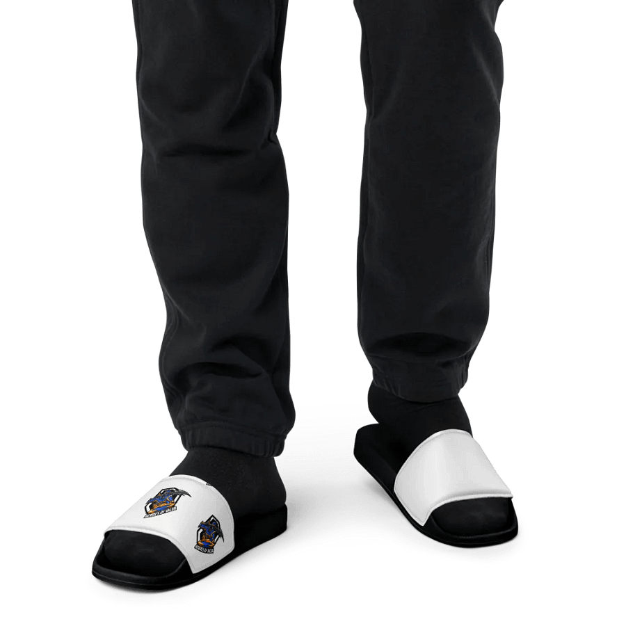 HoV Slides product image (6)