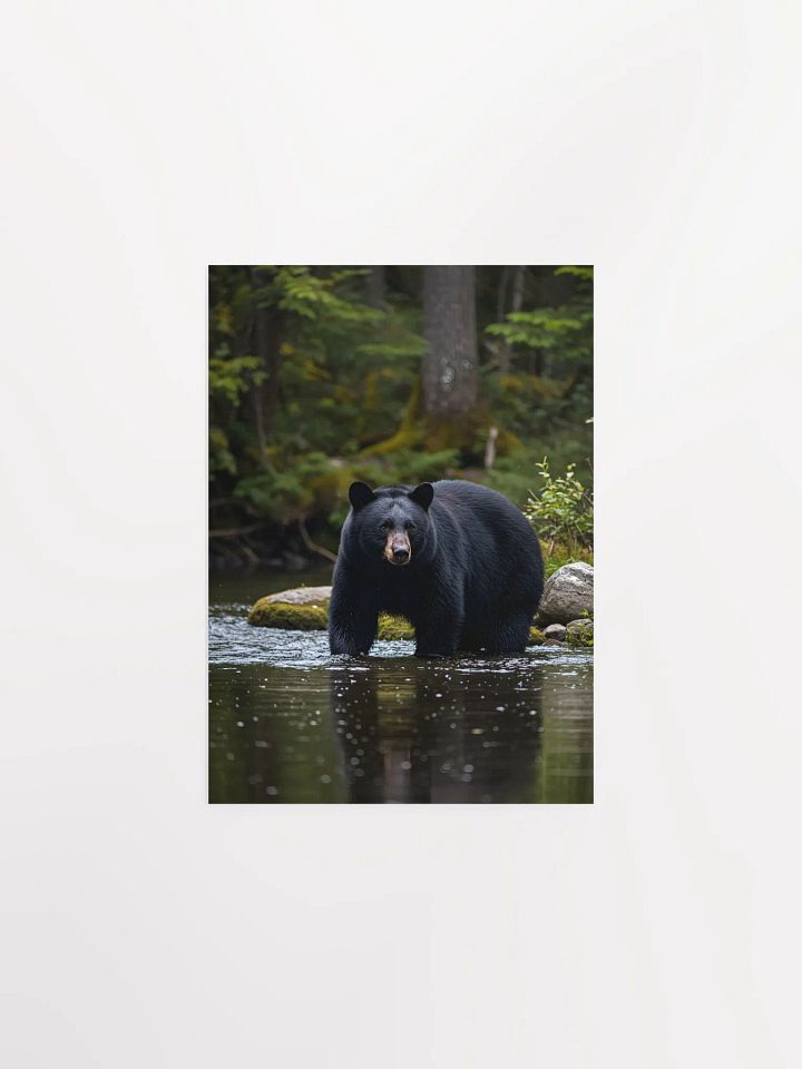 Smoky Mountain Black Bear Cove Poster product image (2)
