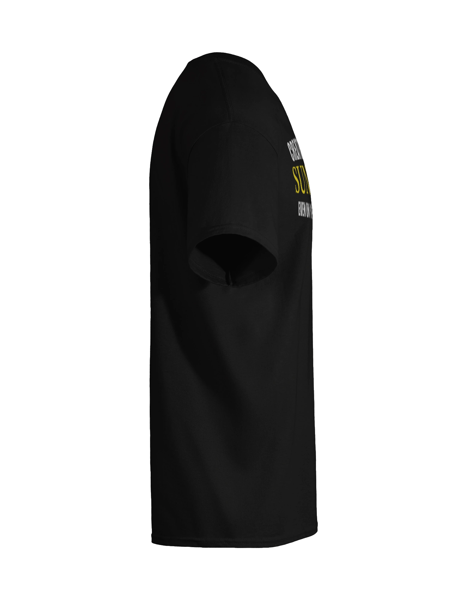 Sunshine Vibe Heavyweight Tee product image (45)