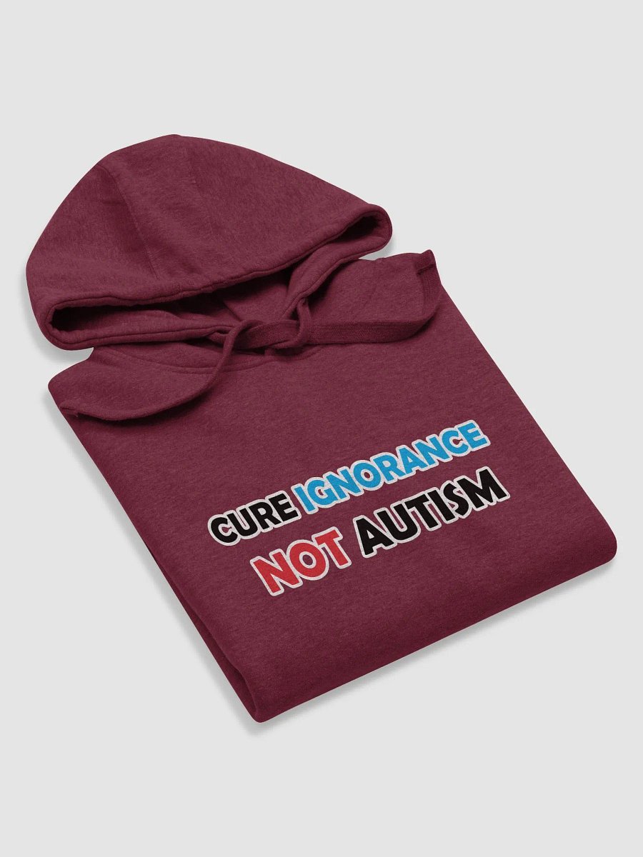 Cure Ignorance Not Autism Hoodie product image (14)