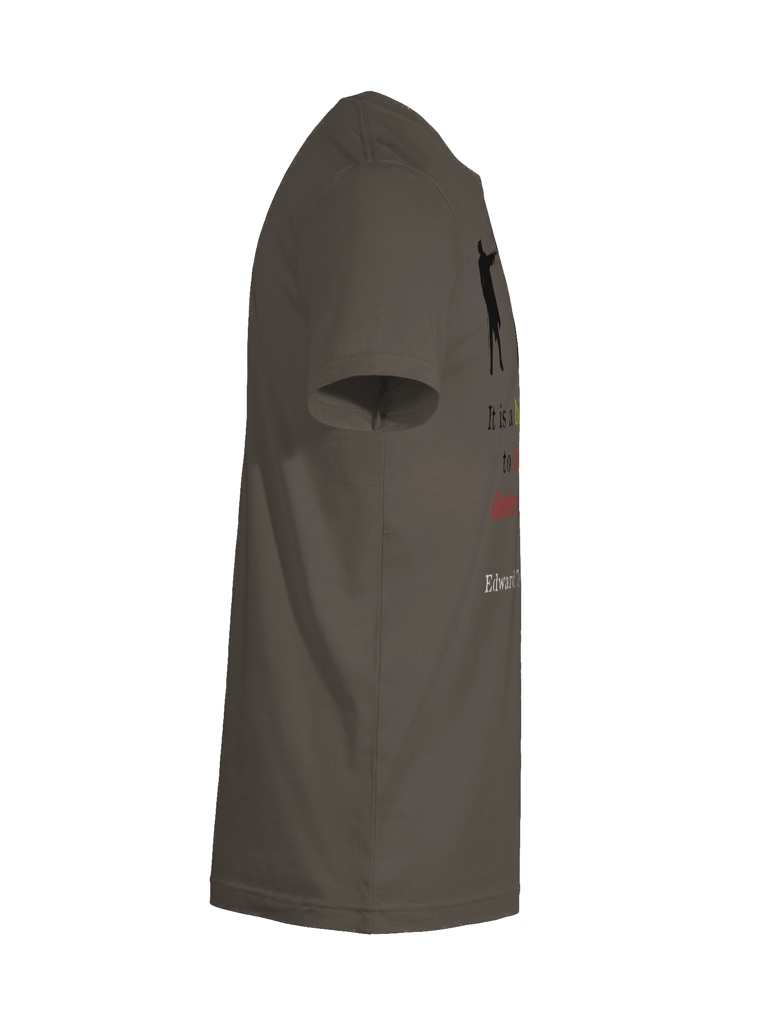 Blackbeard2 product image (46)