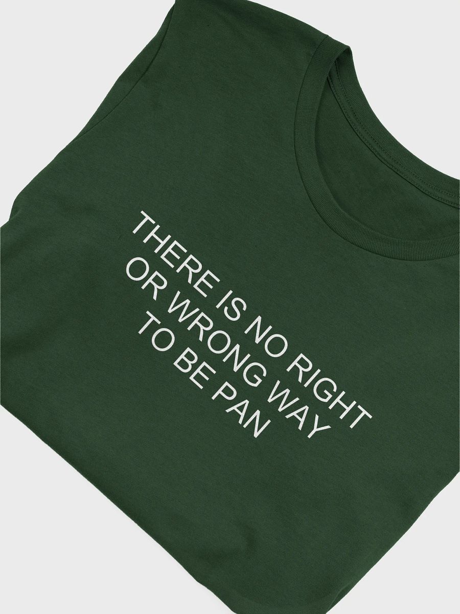 no wrong way to be pan t-shirt product image (5)