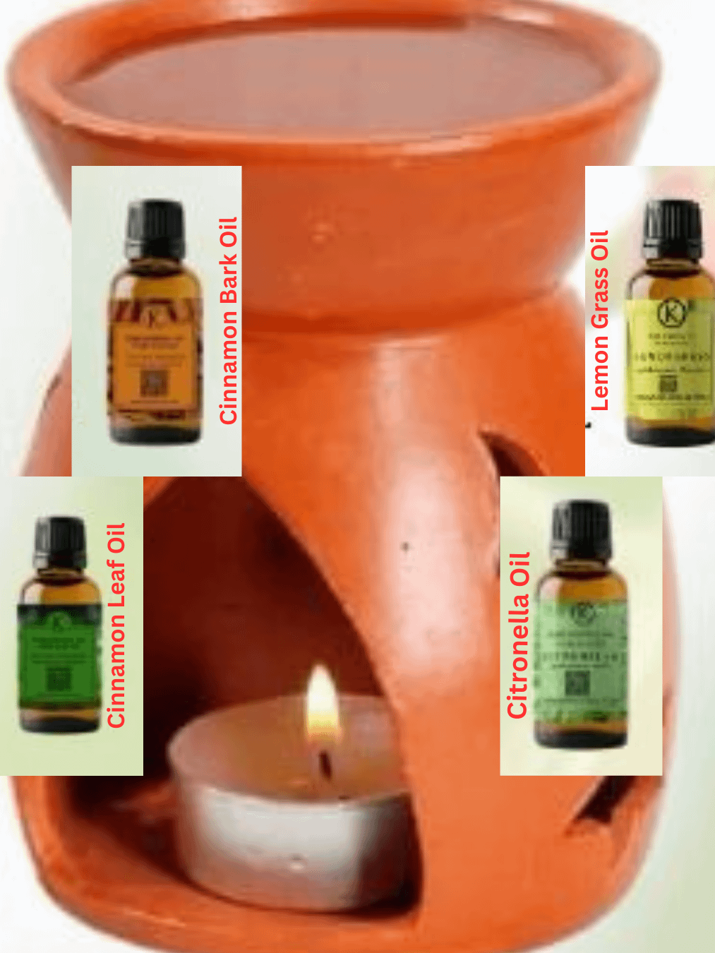 Sri Lankan Cinnamon Oil – Pure Ceylon Essential Oil product image (1)