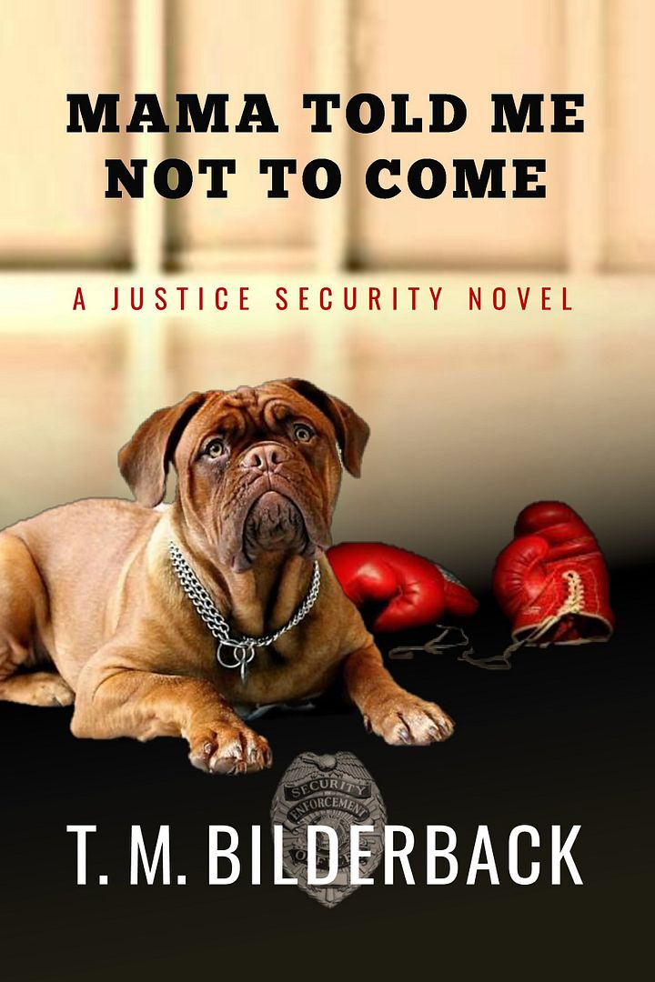 Mama Told Me Not To Come - A Justice Security Novel product image (1)
