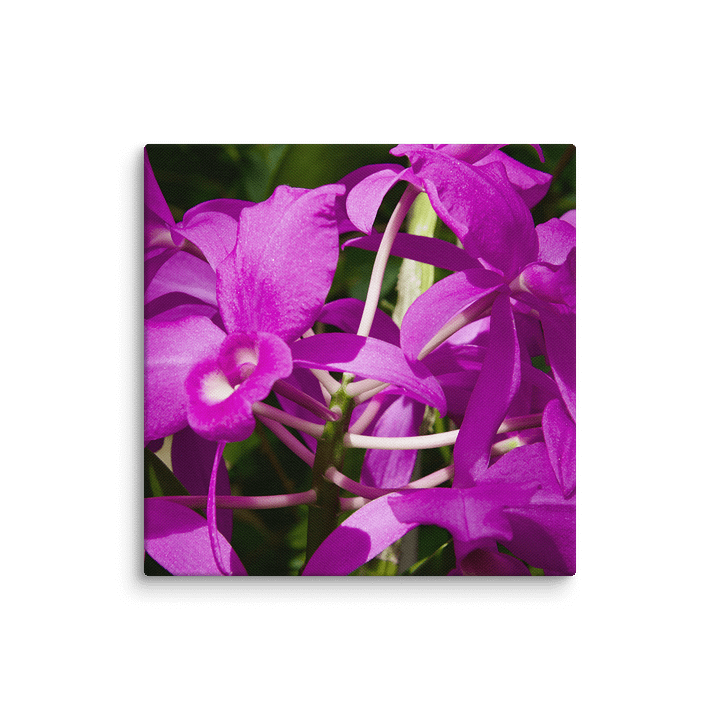 Purple product image (26)