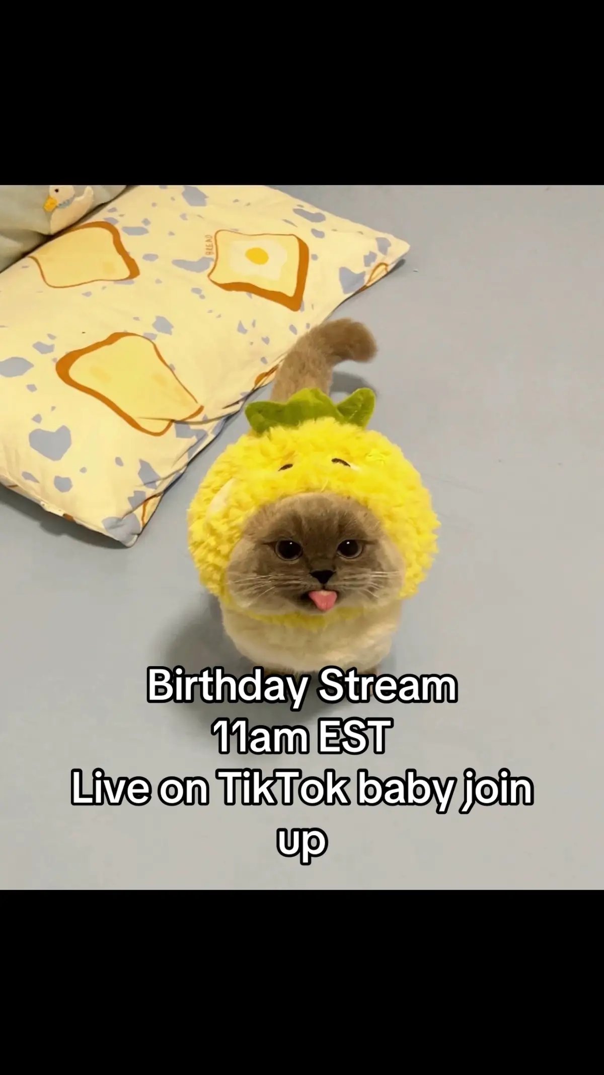 Yeah if you're seeing this you better join the mf stream #trending #meme #minecraft #fypシ 