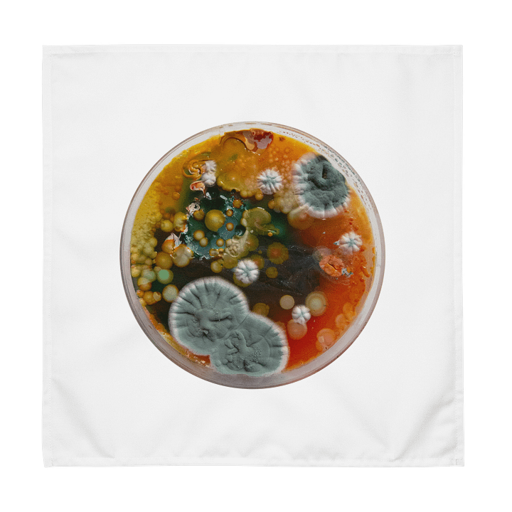 Group of 4 product image (1)