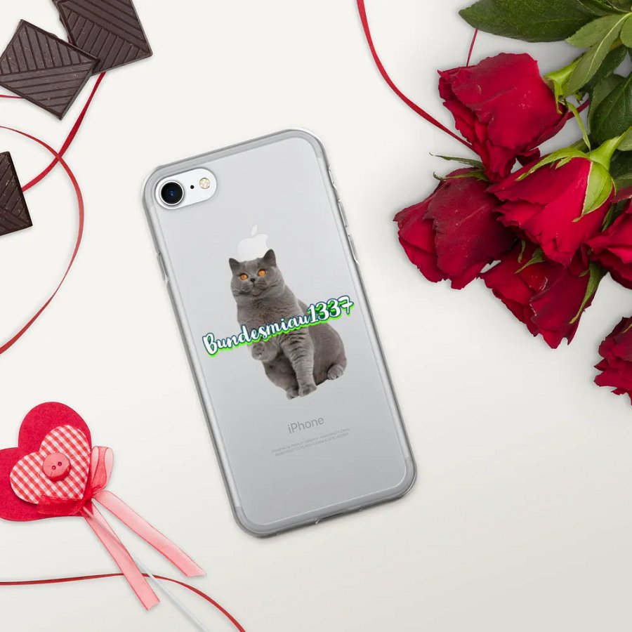 Fan Hülle iPhone durchsichtig product image (336)