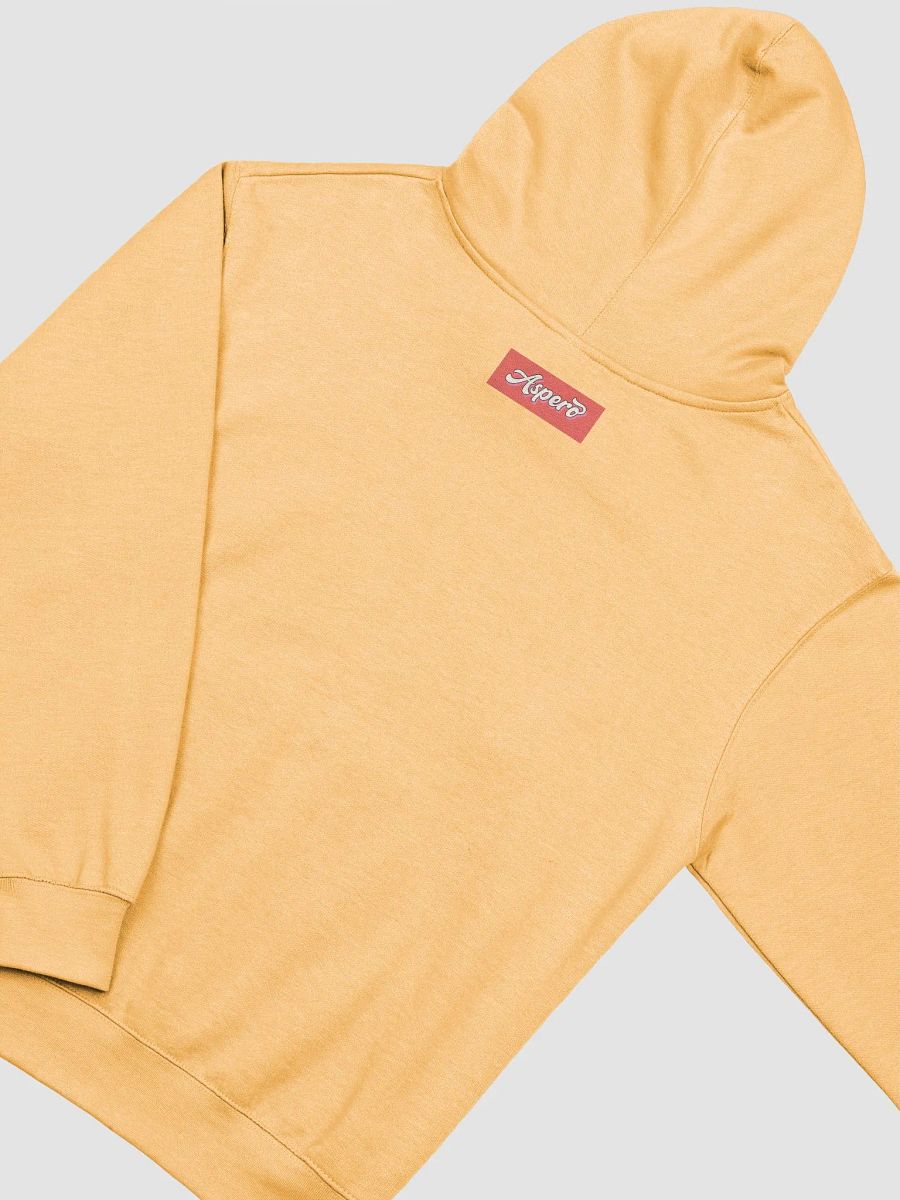 Aspero Independent Trading Co. Midweight Hoodie product image (48)