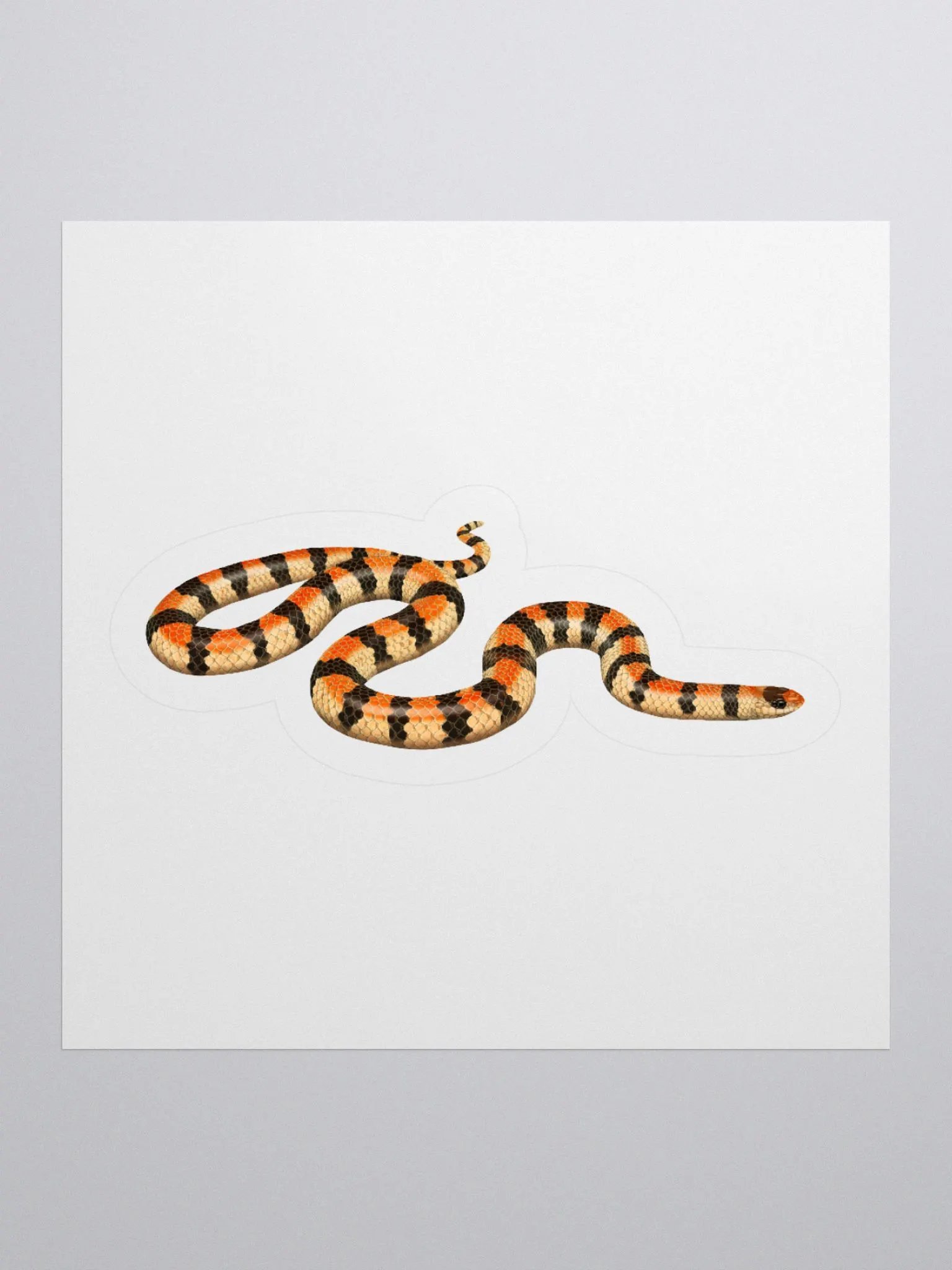 Die-Cut Sticker – Western Groundsnake (Banded) product image (1)